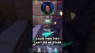 Big Brain Skye Flash