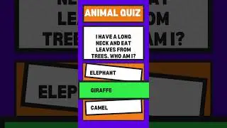 Animal riddle quiz