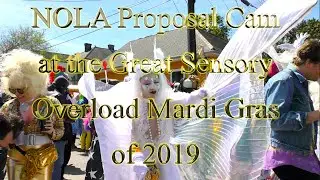 NOLA Proposal Cam at the Great Sensory Overload Mardi Gras of 2019, 4K UHD