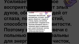 25 августа 2024 г.