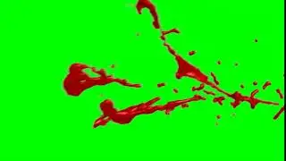 Animation giclée de sang fond vert
