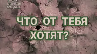 ЧТО ОТ ТЕБЯ ХОТЯТ . РАСКЛАД ТАРО . 