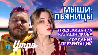 Про создание презентаций, предсказание Паши и мышей-пьяниц