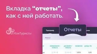 Вкладка "отчеты", как с ней работать?