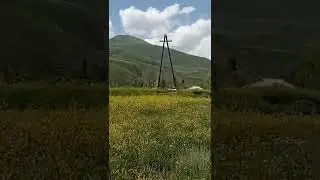 С шиназ