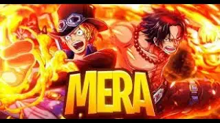 GPO MERA PVP