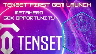 Tenset 10SET | Tenset News | METAHERO | TENSET 100 X Potential | TENSET REVIEW