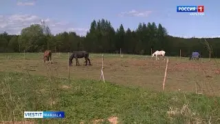 Šoutjärven uuzi kodifermu