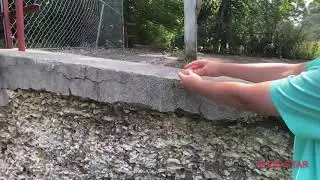 How to crack an egg 101