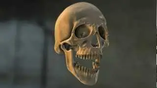 Element3d Laughing Skull