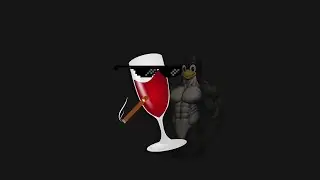 A Software Engineer Explaining Wine