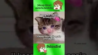 Persistence 