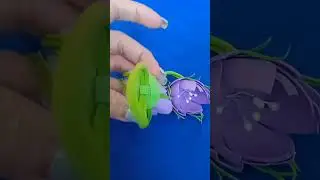 фиолетовые цветочки