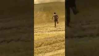 Buğday tarlalarımız yanıyor: Önceki haftadan bu yana 1500 dönümden fazla tarla yok oldu!