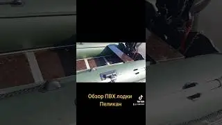 Обзор ПВХ лодки Пеликан под мотор #обзор #пвх #моторнаялодка #надувнаялодка