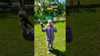 Ещё один тренд про голубя