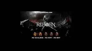 Why im playing L2 Reborn, the best server ever.