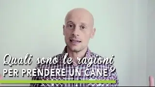 TUTORIAL BAU BOYS - Quali sono le ragioni per prendere un cane?