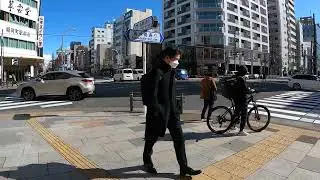 A Walk Around Ueno Station | Tokyo Street Exploration | Japan 4K
