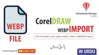 how to convert a webp file to jpg