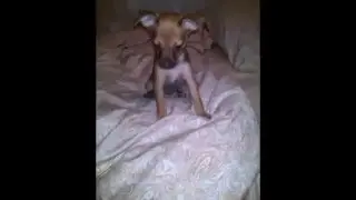 малышка ася