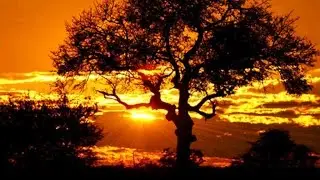 Past Very beautiful video and music