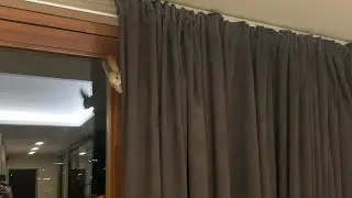 Белка Чип и его образ жизни😂