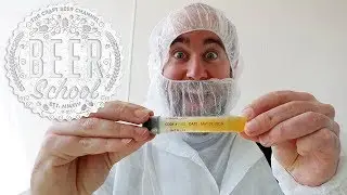 Beer School: what is yeast? | The Craft Beer Channel