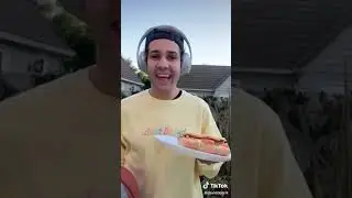 David Dobrik tiktok video 