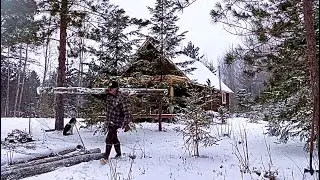 Off Grid Cabin Living: Spring Firewood And Starting The Woodshed Build