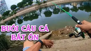 MỘT NGÀY CÂU CÁ BẤT ỔN NHẤT / phiêu xứ dừa
