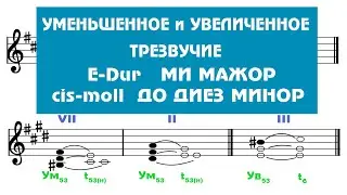 Построение Ум53 / Ув53  -  E-Dur ---- cis-moll