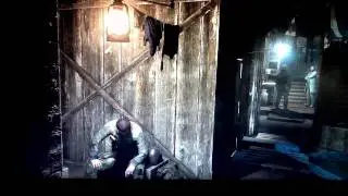 Metro 2033 Red/Green flashing screen bug
