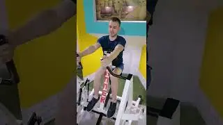 шварцниггер