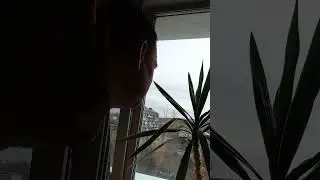 Дом стоит, свет горит...