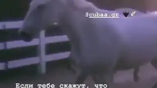 Атмосфера души