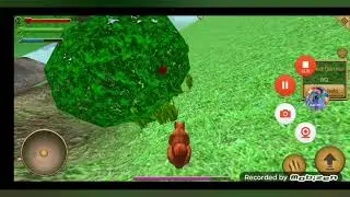 Играю в Симулятор белки