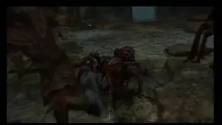 Scoped Bows??