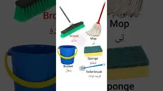 Do you know these cleaning words in English? 