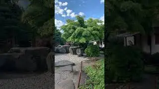 Красота 