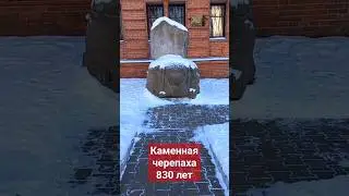 Каменной черепахе в Хабаровске 830 лет #дальнийвосток #россия #армения #хабаровск #история