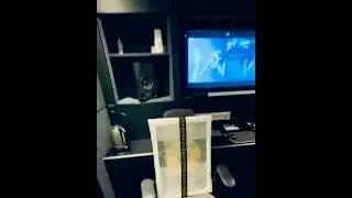Jala Brat x Buba Corelli x Coby - Zlatne Ploče