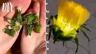 DIY Dandelion Garland: Creating a Cozy Home