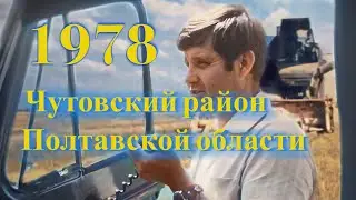 1978г Поля Полтавской области: уборка пшеницы