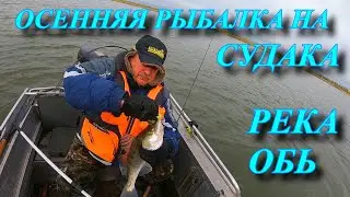 РЫБАЛКА  НА СУДАКА ОБЬ СПИРИНО МАЛИТИНО Ч 3