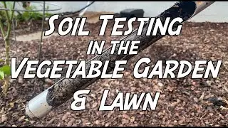 Soil Testing in the Vegetable Garden & Lawn