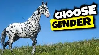 How to Change a Stable Horse Gender in RDR2