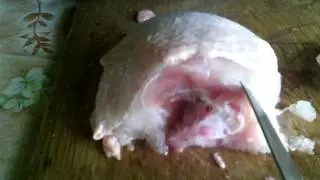 VID 20150101 064304