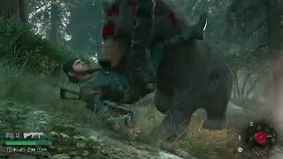bearly holding it together