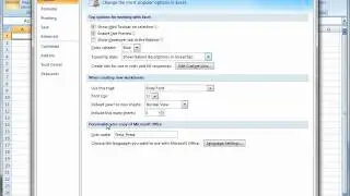 Displaying the Developer Tab in Excel 2007